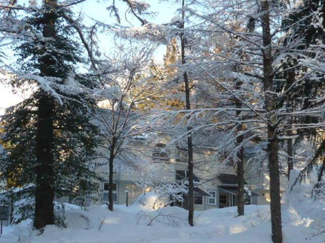Hakuba Royal Suites Eksteriør bilde
